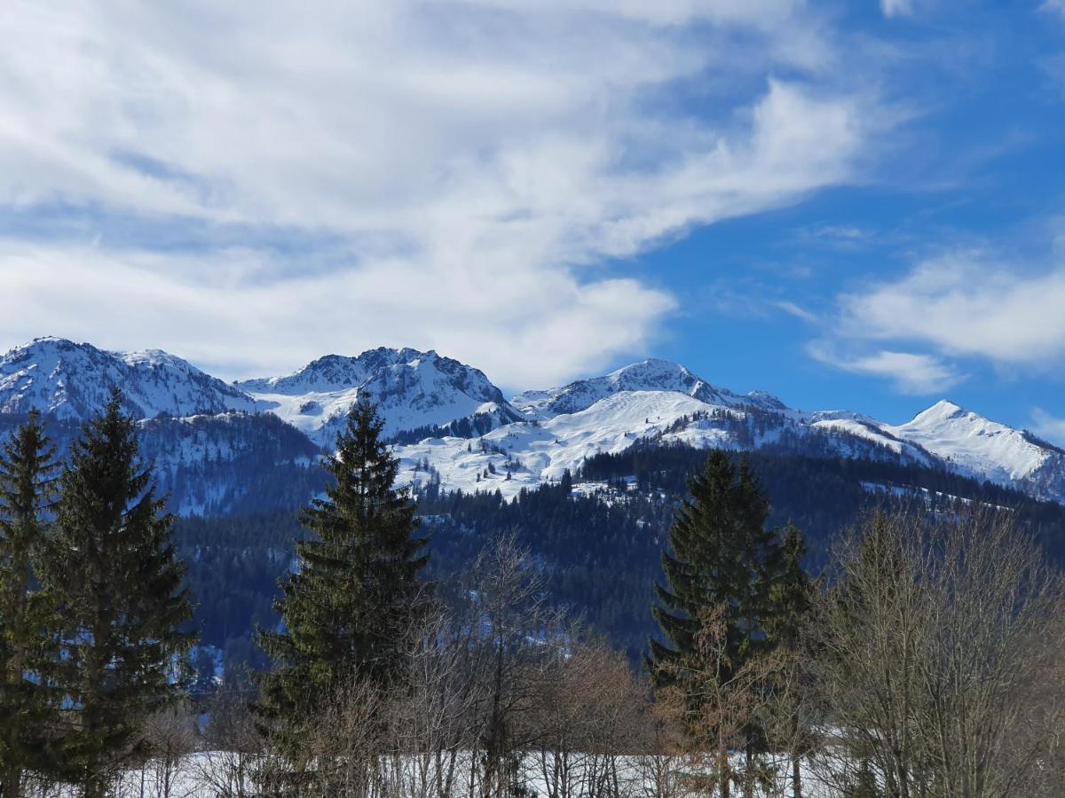 Ferienwohnung App. Mountain View Fieberbrunn Esterno foto