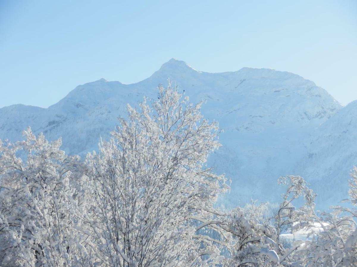 Ferienwohnung App. Mountain View Fieberbrunn Esterno foto